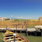 Sini, Peschiera Pontis (fish farm)