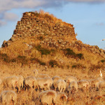 a nuraghe in the Sinis region