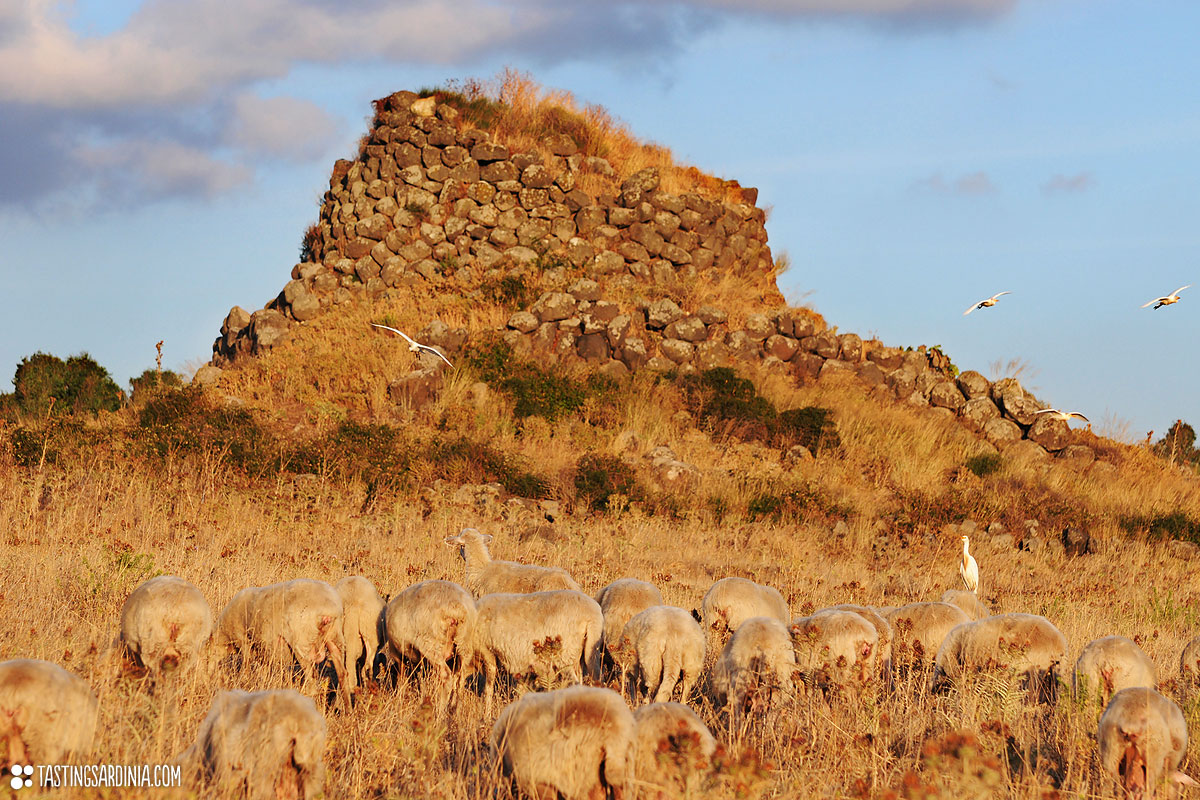 a nuraghe in the Sinis region