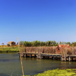 Peschiera Pontis fish farm